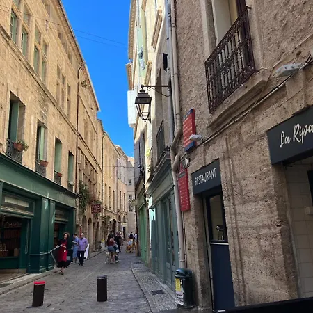 Centre Historique - Plages à 20 Mn *