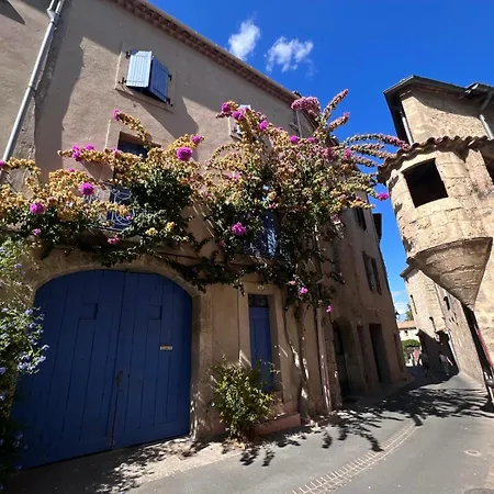 Apartment Centre Historique - Plages A 20 Mn *